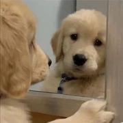 Julian111的个人资料头像