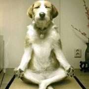 里奥75的个人资料头像