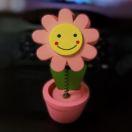 喵大壮的个人资料头像