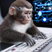 程序员Snail的个人资料头像