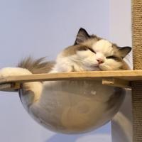 用户5263022341942头像