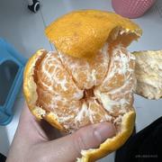草丛躲猫猫的个人资料头像