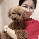 北言北语的个人资料头像