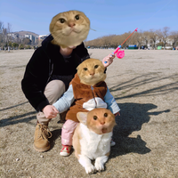 哈基狗与哈吉啾头像