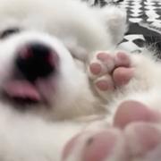 角瓜炒鸡蛋的个人资料头像