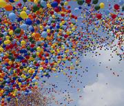 戒八是的念来过倒的个人资料头像