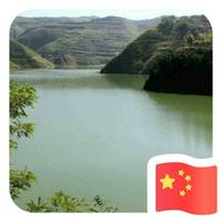 落叶归根7997头像