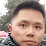 龙洋大作战头像