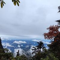 神秘风铃Yd0头像