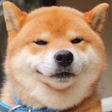 用户9935760435866头像