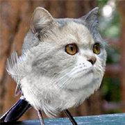 db7a5a5e419211e983ee5b4f614eb33d的个人资料头像