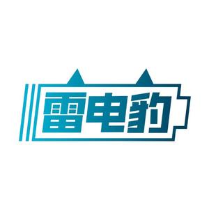 雷电豹汽车应急启动电源工厂店