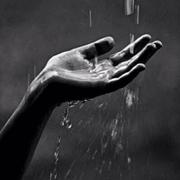 追忆似水的个人资料头像