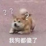 历史学家的技艺头像