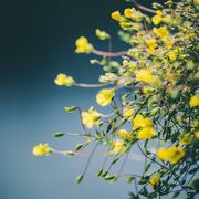 山人65的个人资料头像