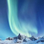 VladimirLang的个人资料头像