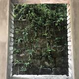 左手Ja头像