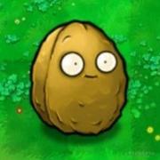 白烛魁的个人资料头像