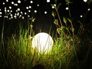 蓝瞳web的个人资料头像