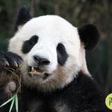 滕一华148头像