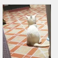 用户3407743119955头像