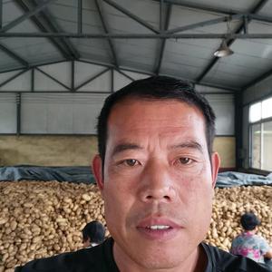 土豆李哥头像