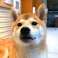 用户1105349292458头像