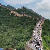 顺鑫91968336头像