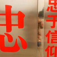 用户2398005491210头像