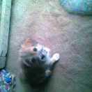 陈文飞的个人资料头像