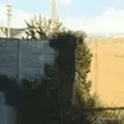 兄弟们冲啊的个人资料头像