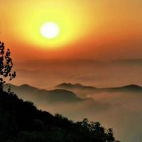 用户3807254651351头像