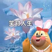 君怡的个人资料头像