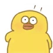 PawnDi的个人资料头像