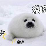 用户4542081971022头像