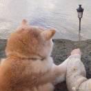 景云不想说话的个人资料头像