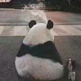 穷的叮咣三响头像