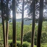 悠闲远山AhG头像