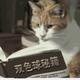 休网中355头像