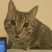 冥冥之中166的个人资料头像