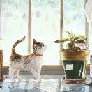 如果明天是晴天的个人资料头像