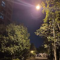 好好学习的小王头像