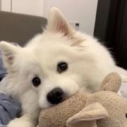 要努力啊的个人资料头像