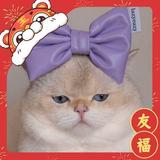 多多啊多多219头像