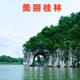 dyyg阳光头像