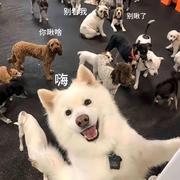 是阿明啊的个人资料头像