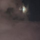 讲课非常好头像