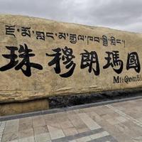 只是风往南吹头像