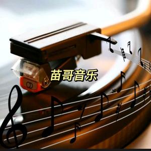 苗哥音乐头像