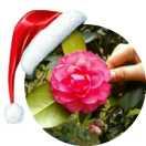 糖豆君的个人资料头像